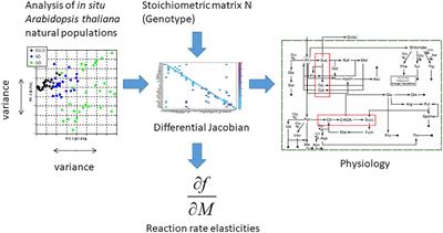 Eco-Metabolomics and Metabolic Modeling: Making the Leap From Model Systems in the Lab to Native Populations in the Field